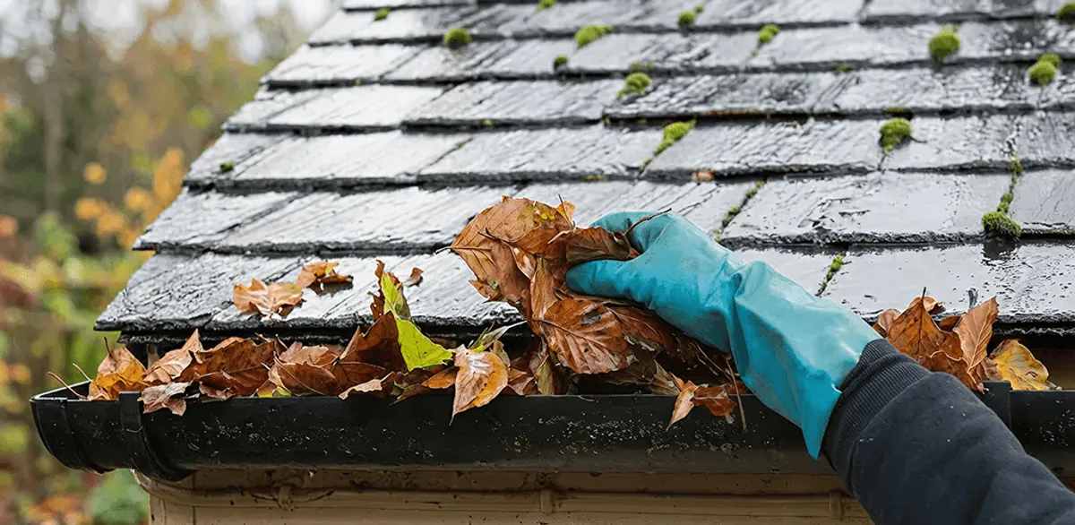 Gutter cleaning technician clearing wet leaves from roof gutters in Cedar Rapids, IA